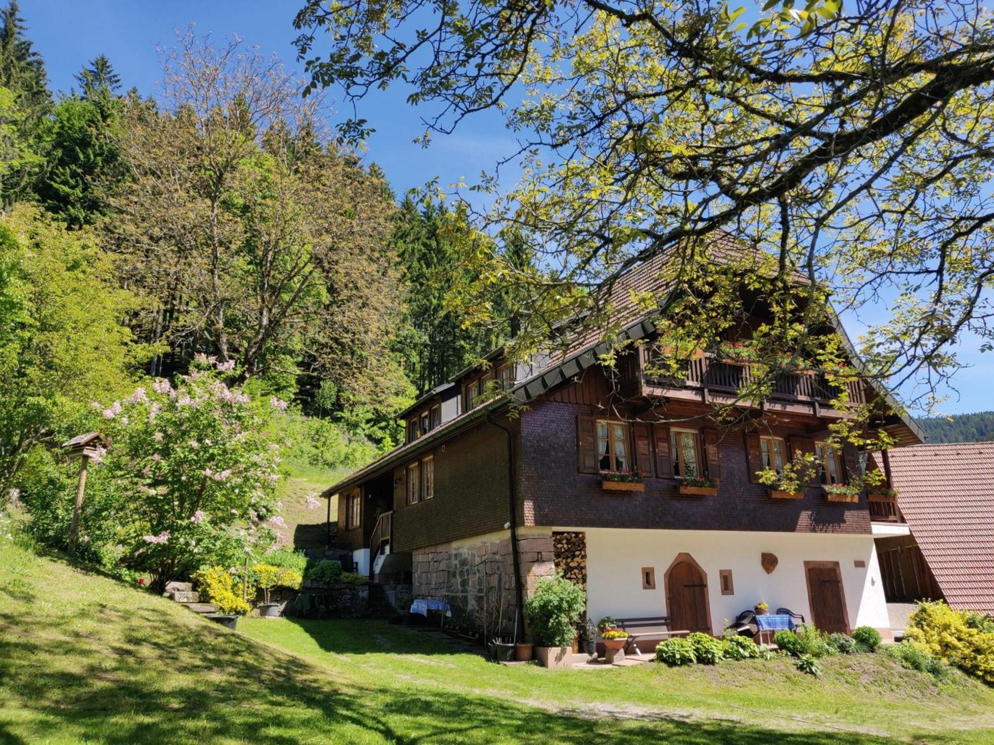 Ferienwohnungen Vogt'S Libding Bad Rippoldsau-Schapbach Buitenkant foto