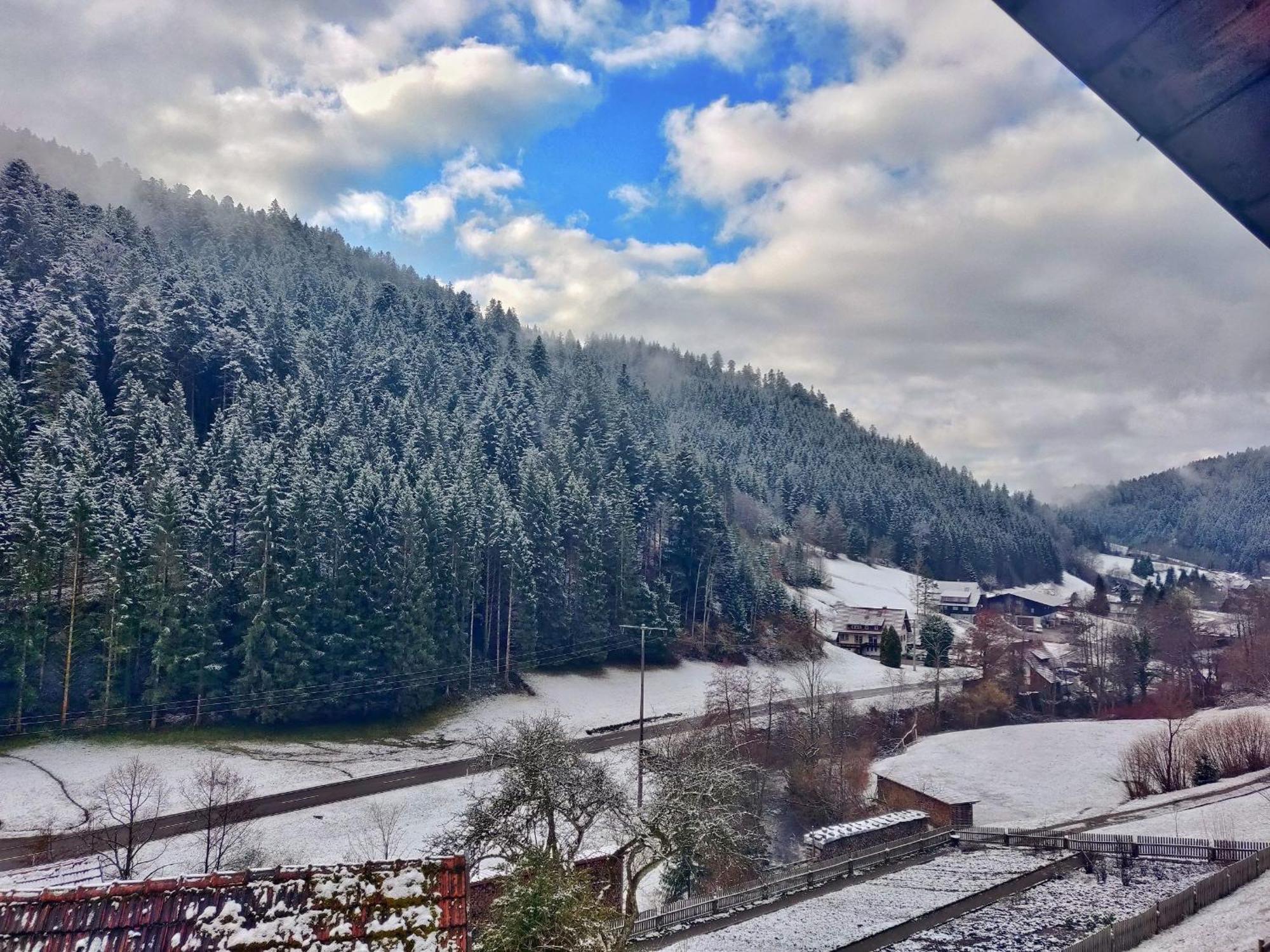 Ferienwohnungen Vogt'S Libding Bad Rippoldsau-Schapbach Buitenkant foto